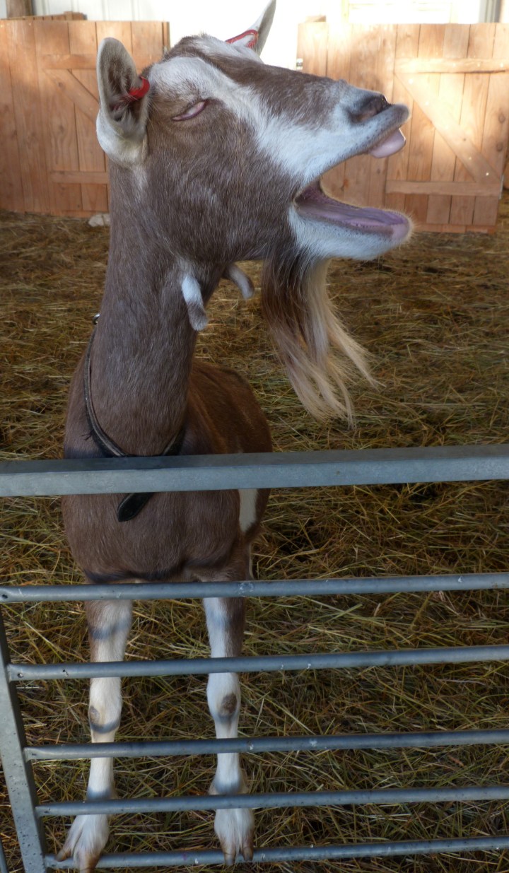 P1200028 - Copy - Copy