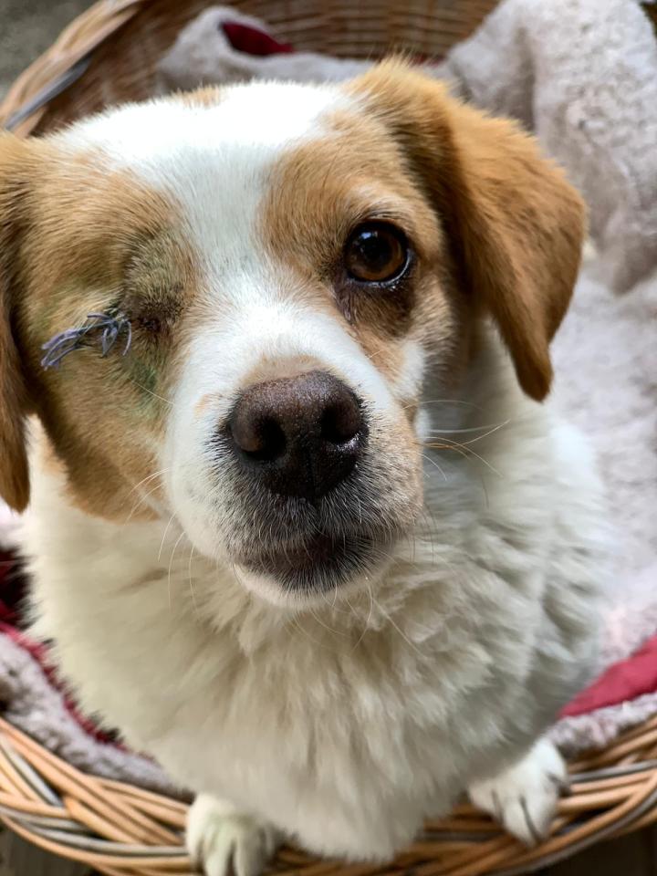 IMG-20200513-WA0001[13241]